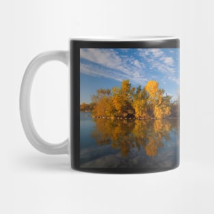 Gold Reflection Mug